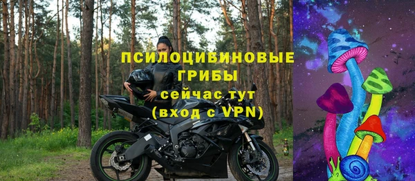spice Алексин