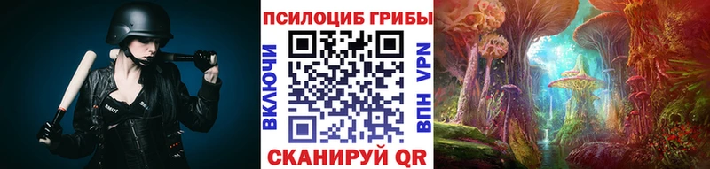 как найти закладки  Нефтекамск  Псилоцибиновые грибы мицелий 